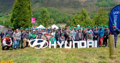 Hyundai y medio ambiente: 2da Jornada de Reforestación en Cuenca