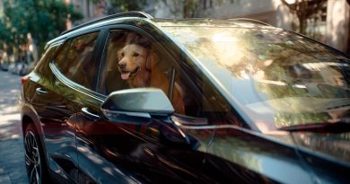 Chevrolet lanza ‘Emergencia para Mascotas’ y nueva myChevrolet App