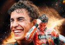 Márquez es Campeón del Mundo por séptima vez y va por más